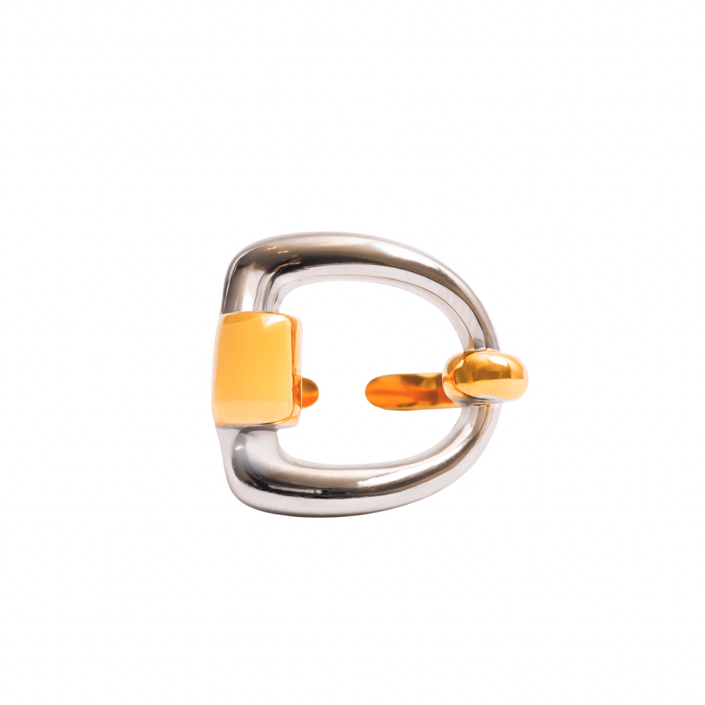 Adjustable Duo Link Ring with Gold and Silver Finish