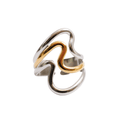 Adjustable Dual Harmony Ring with Mixed Gold and Silver Finishes